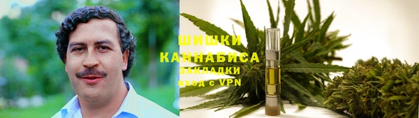 первитин Михайлов