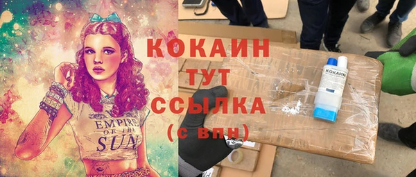 первитин Михайлов