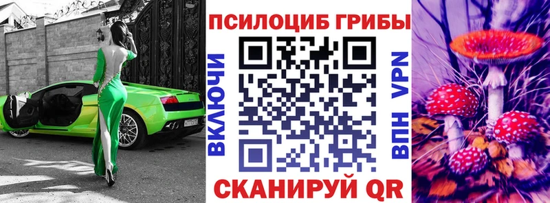 Псилоцибиновые грибы Cubensis Гусь-Хрустальный