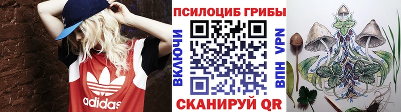 OMG зеркало  Гусь-Хрустальный  Галлюциногенные грибы Cubensis 