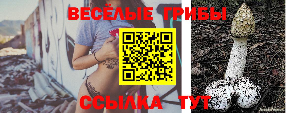 Галлюциногенные грибы ЛСД Гусь-Хрустальный