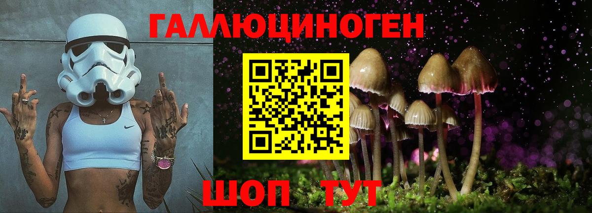 МАРИХУАНА  MDMA  МЕТАДОН  Мефедрон   Гусь-Хрустальный  Магазины продажи наркотиков  Гашиш 